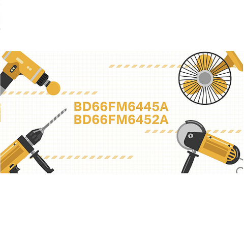 Holtek BD66 FM44