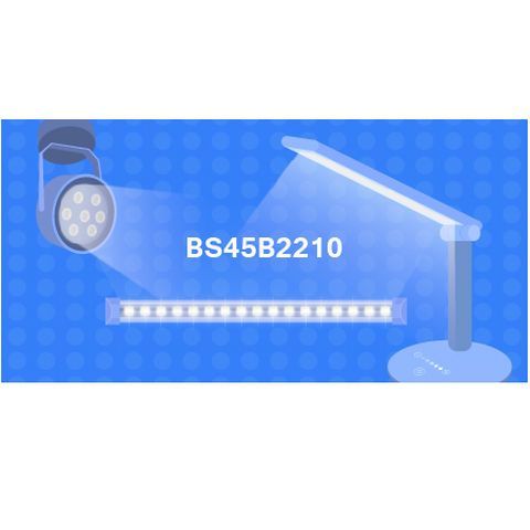 Holtek BS45 B2210