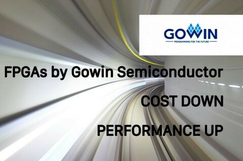 Gowin 113122024