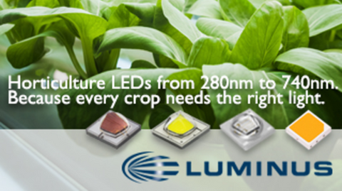 Luminus Horticulture