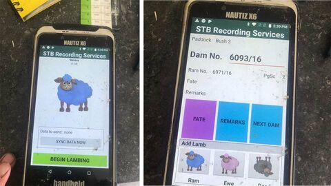 Handheld nautiz x6 lambing 3