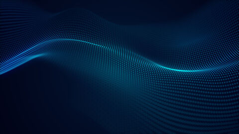Shutterstock 1470261605
