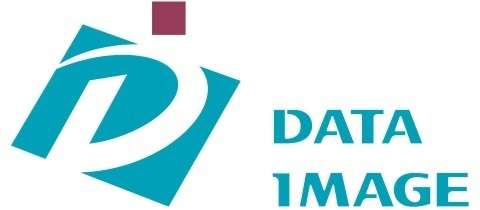 Data Image Logo